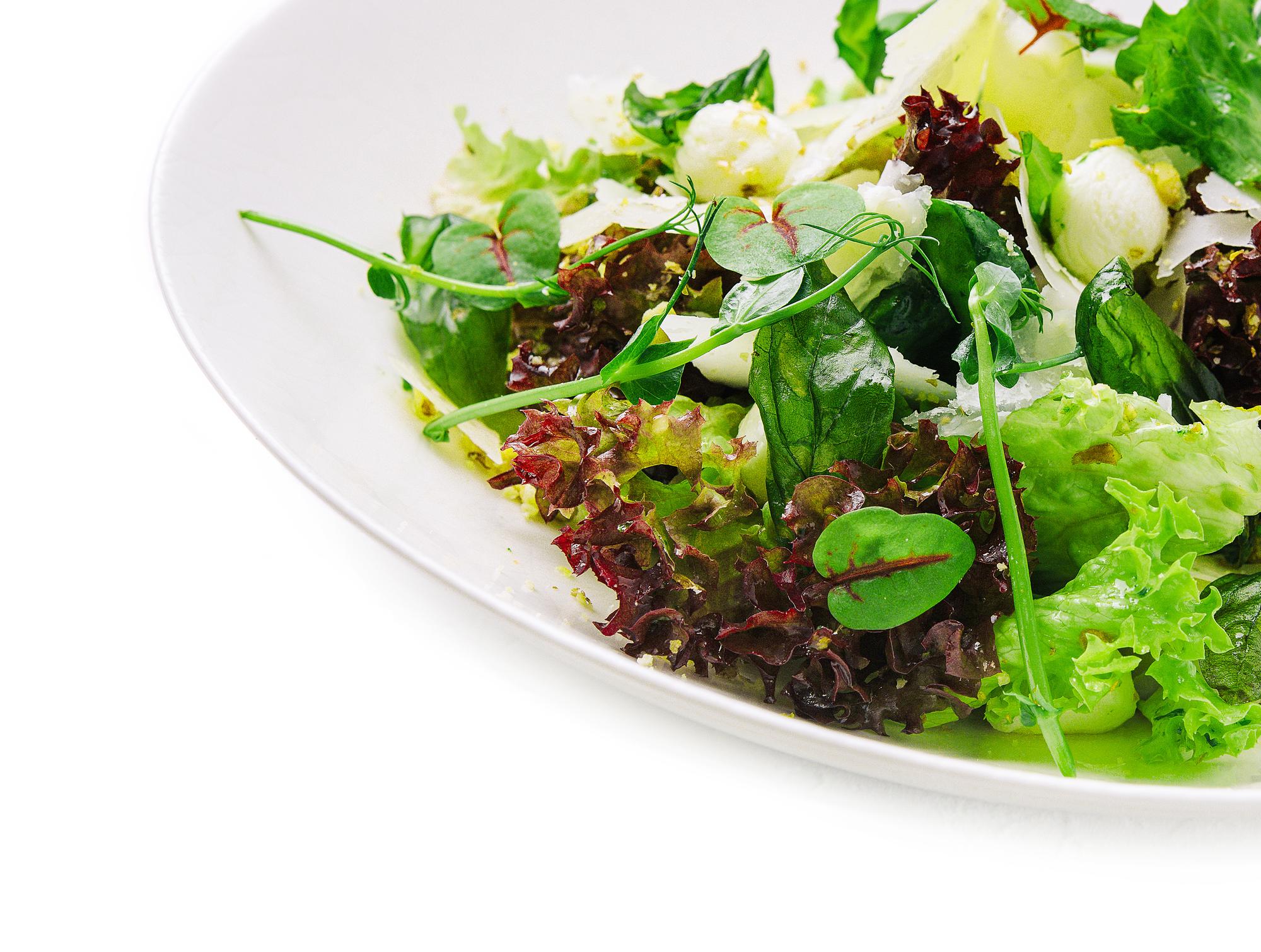 Close-up plated gourmet salad with herbs